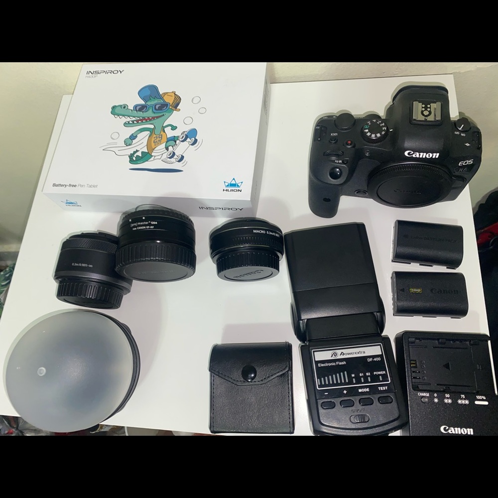 Canon R6 with Lens - Picture 7 of 13
